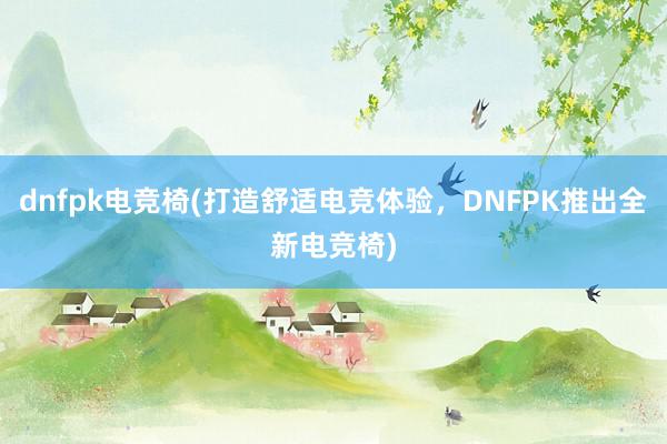 dnfpk电竞椅(打造舒适电竞体验，DNFPK推出全新电竞椅)