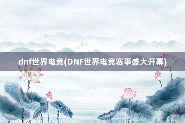 dnf世界电竞(DNF世界电竞赛事盛大开幕)