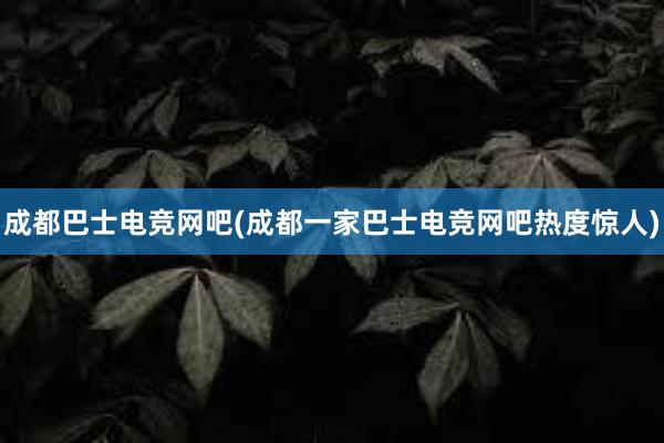 成都巴士电竞网吧(成都一家巴士电竞网吧热度惊人)