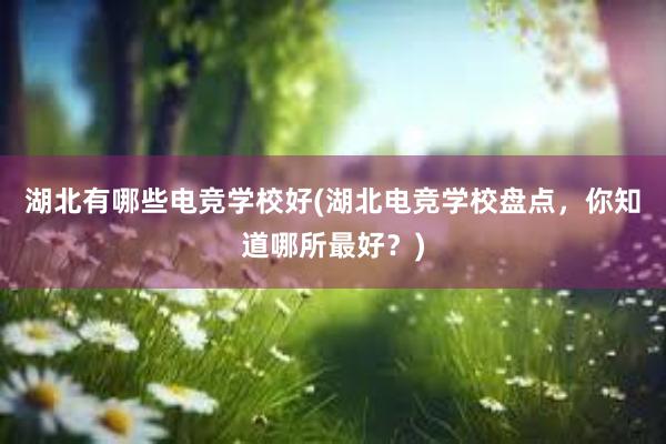 湖北有哪些电竞学校好(湖北电竞学校盘点，你知道哪所最好？)