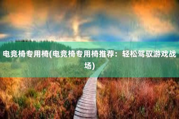 电竞椅专用椅(电竞椅专用椅推荐：轻松驾驭游戏战场)