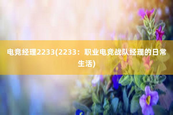 电竞经理2233(2233：职业电竞战队经理的日常生活)