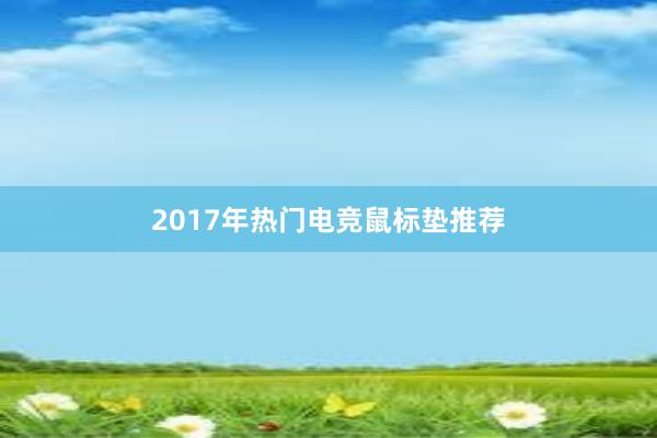 2017年热门电竞鼠标垫推荐