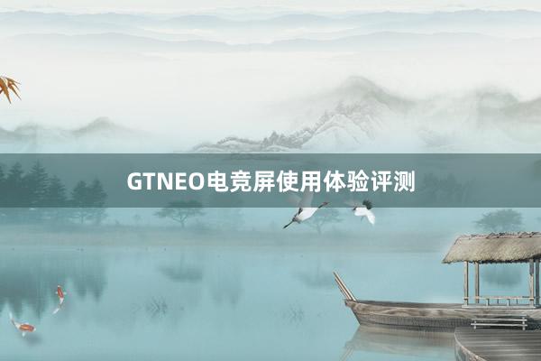 GTNEO电竞屏使用体验评测