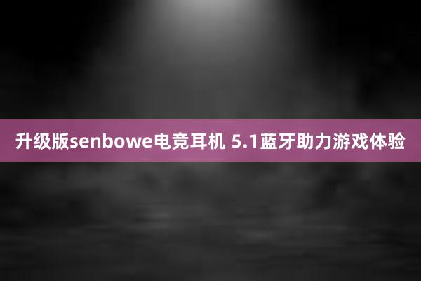 升级版senbowe电竞耳机 5.1蓝牙助力游戏体验