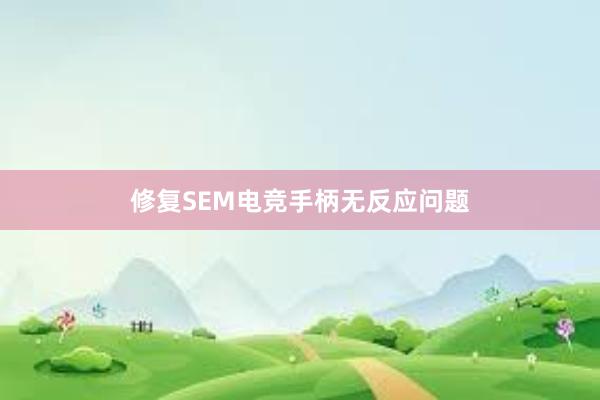 修复SEM电竞手柄无反应问题