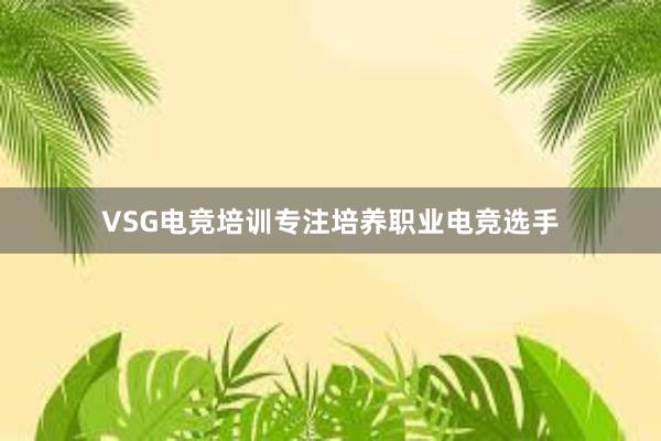 VSG电竞培训专注培养职业电竞选手