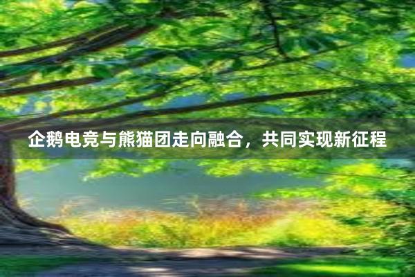 企鹅电竞与熊猫团走向融合，共同实现新征程