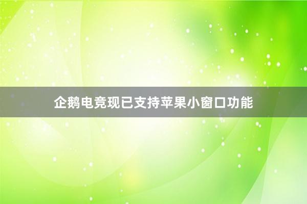 企鹅电竞现已支持苹果小窗口功能