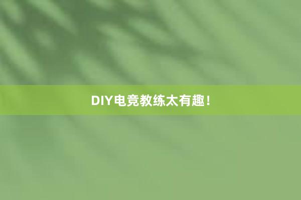 DIY电竞教练太有趣！