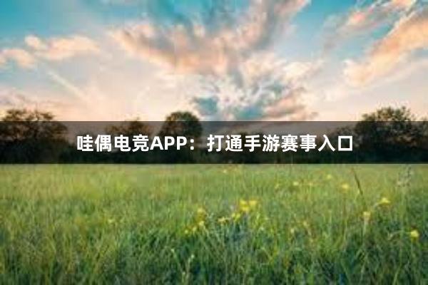 哇偶电竞APP：打通手游赛事入口