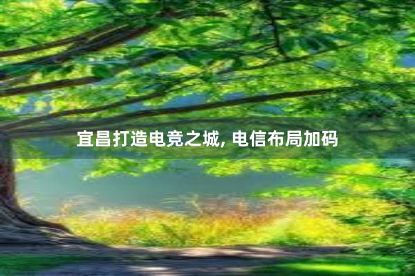 宜昌打造电竞之城, 电信布局加码