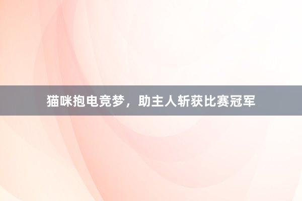 猫咪抱电竞梦，助主人斩获比赛冠军