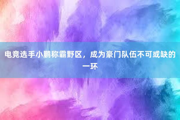 电竞选手小鹏称霸野区，成为豪门队伍不可或缺的一环