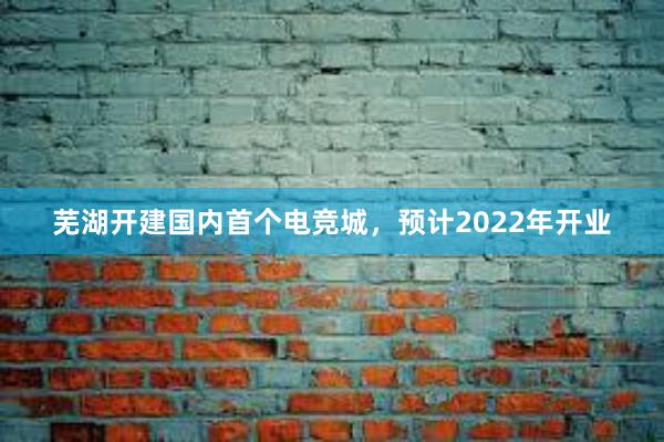 芜湖开建国内首个电竞城，预计2022年开业