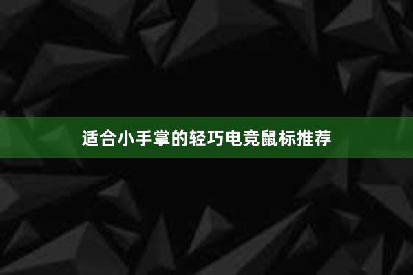 适合小手掌的轻巧电竞鼠标推荐